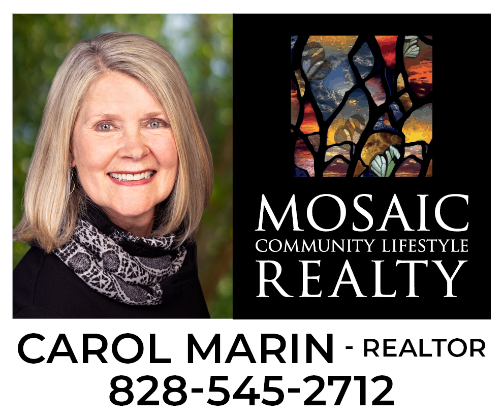 Carol Marin headshot, realtor